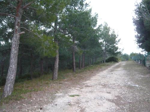 L’Eden sur la Colline