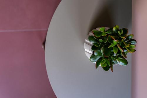 Alkima Athens Hotel - image 8