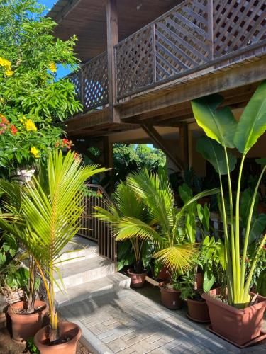 HÊCHÉLOGE (HECHELOGE) in 쿵구