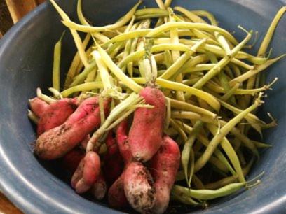 Zion Train Lodge Shashemene in Shashamane