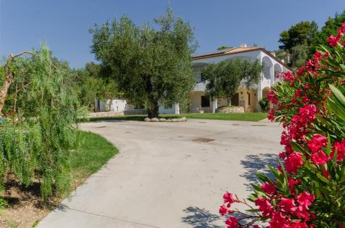 Case Vacanza Fracarluccio