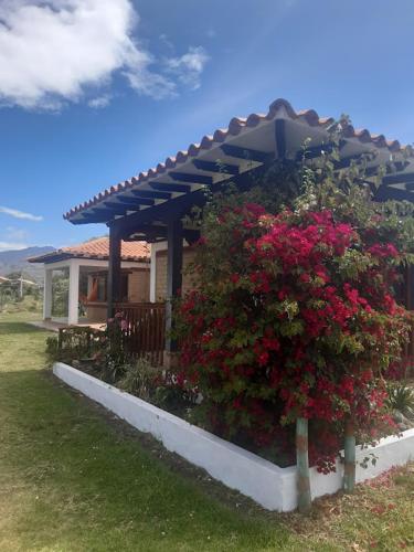 Surrounding environment, Cabana Los Potrillos in El Emporio