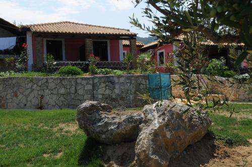Arpyia - image 7