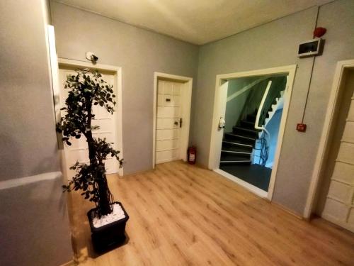 Sultan Hostel & Guesthouse, Istanbul (foto 9)