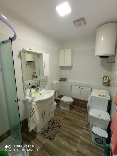 Vannituba, Studio apartman Sonja in Brinje