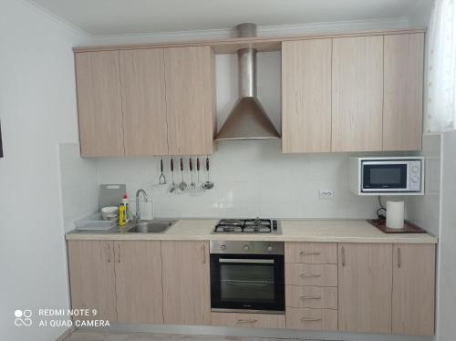 köök, Studio apartman Sonja in Brinje