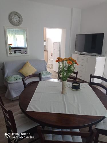 Jagatud salong / TV-ala, Studio apartman Sonja in Brinje
