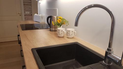 Kitchen, Liisa Apartment in Kuressaare