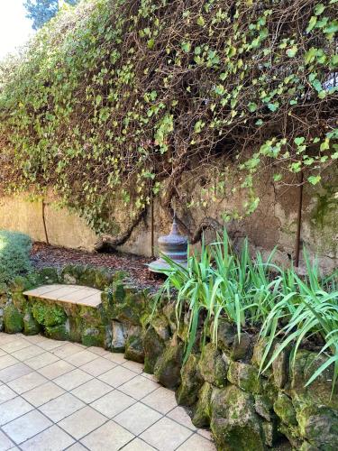 Trastevere Oasi Garden Apartment - Roma, Řím (fotografie 6)