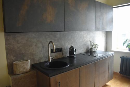 Perfectly Central Apartment 5 min to Old Town & Art Noveau., Riga (foto 2)
