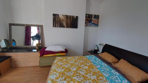 Extra Large One Bedroom Flat with Parking - image 10