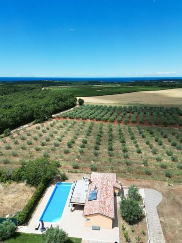 Villa Absolute privacy - Accommodation - Novigrad Istria