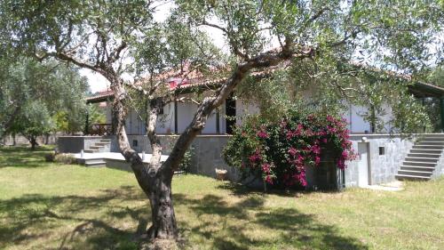 VASILIKI gîte à louer Ákra Kastrosykiá