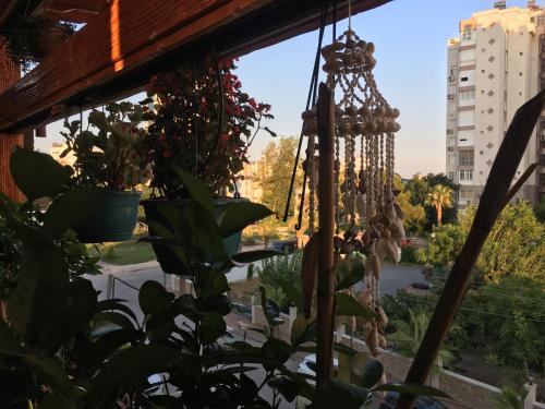 Orange Garden, Antalya (Foto 3)