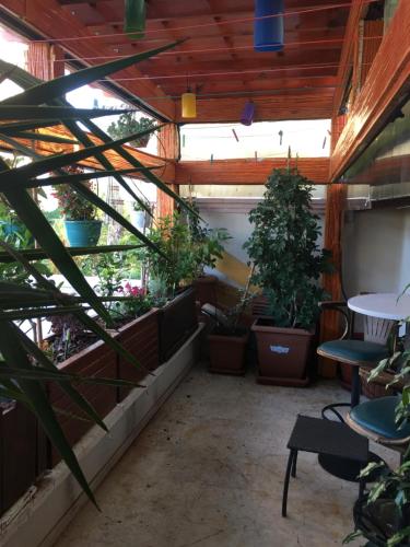 Orange Garden, Antalya (Foto 4)