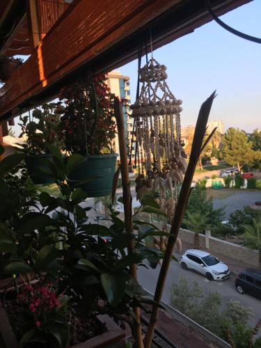 Orange Garden, Antalya (Foto 9)