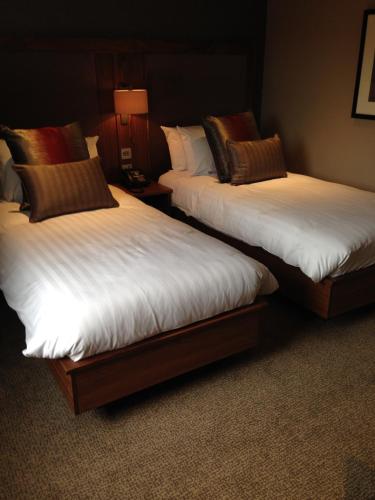 Busby Hotel - image 5