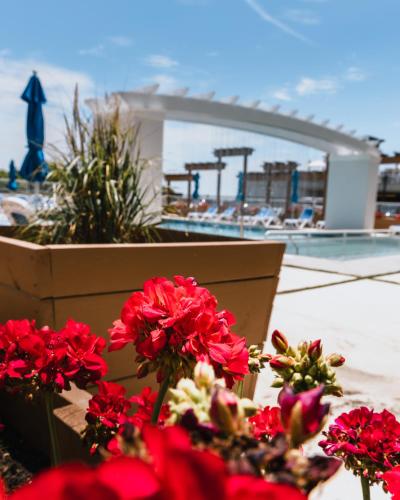 Regal Plaza Beach Resort - image 3