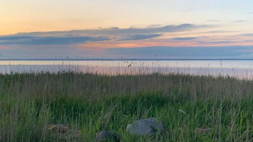 Strandliebe am Stettiner Haff