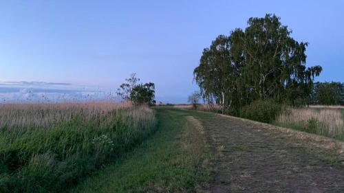 Strandliebe am Stettiner Haff