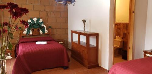 Hotel Jardin Rincon de las Estrellas in Velasco, Mexico