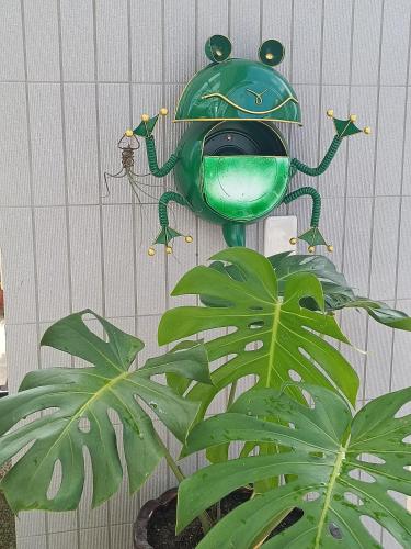 이란 지드 - 숙소 외관