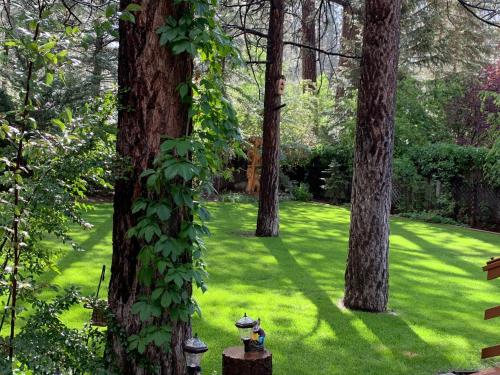BLUEBEARY PINES-PERFECT ESCAPE-PRIVATE HOT TUB-WALK to SKI SHUTTLES in Big Bear Lake, USA