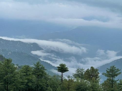 Bhurban Continental Apartment 45-F in Bhurban