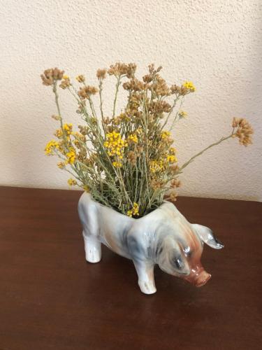  L’ Angolo degli Ortaggi in Sassari