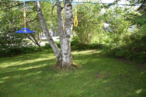 景觀, Försterhaus (Forsterhaus) in 霍爾茨高