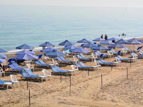 Room in Apartment - Amaril Hotel Apartments - image 9