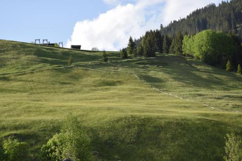 景觀, Försterhaus (Forsterhaus) in 霍爾茨高