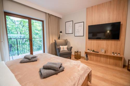 Apartament Green View Szklarska Poręba, Szklarska Poręba (foto 8)