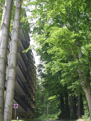 Apartament Green View Szklarska Poręba, Szklarska Poręba (foto 6)