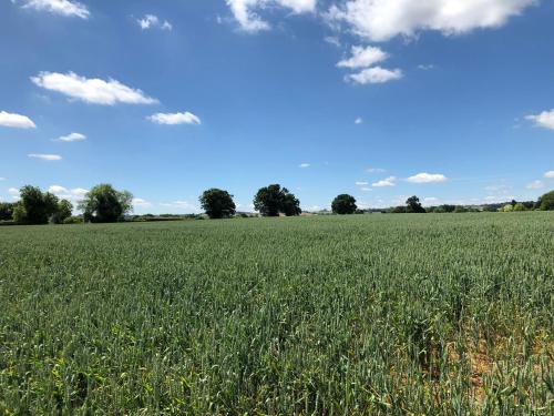 Hook Norton Barn