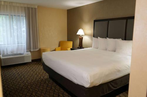 Baymont by Wyndham Bridgeport/Frankenmuth - image 14