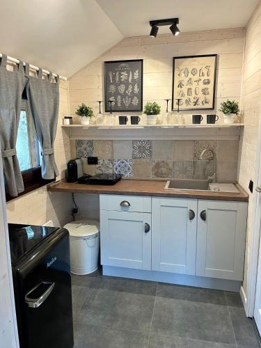 Cabana din Groapa Frumoasa in 布蘭