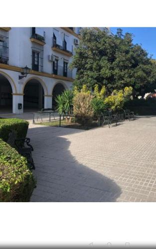 Piso de 3 dormitorios