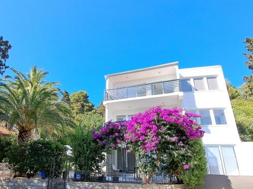 A2D1 Mali Losinj in Poljana