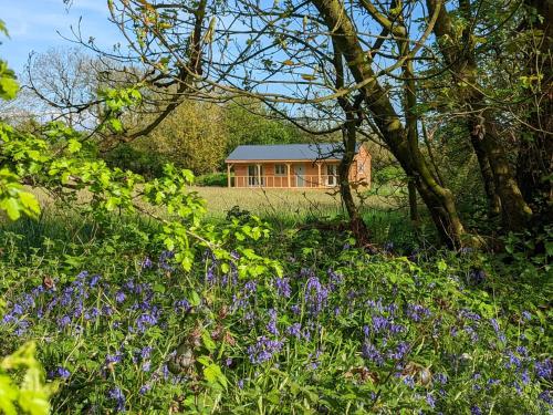 Raleigh Lodge - high quality lodge in secluded meadow in กลางเมืองไบด์ฟอร์ด