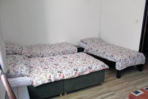 8-Bed Mixed Dormitory Room