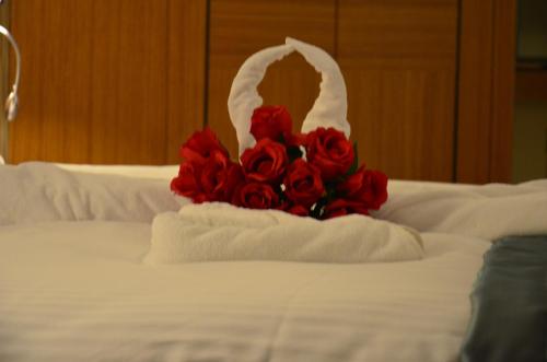 Mirel Hotel