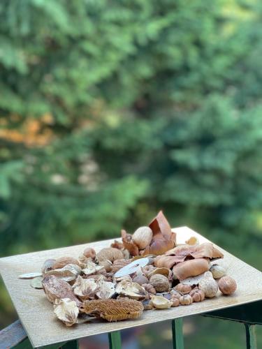 Apartments Radović - image 5