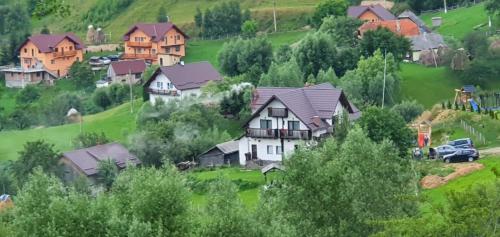 B&B Măgura - Casa de la Muntele Craiului - Bed and Breakfast Măgura