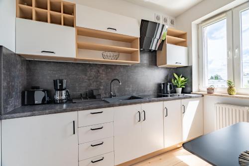 Kitchen, Grelewicz Apartments- MyPleasure in Torun