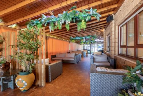 Hotel Gala - image 12