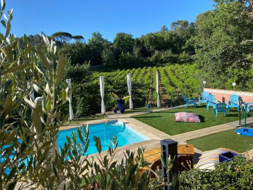 La Vie Est Belle En Provence - Chambre d'hôtes - Tourves