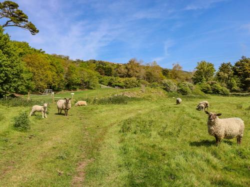 Lisle Combe Cottage - image 9
