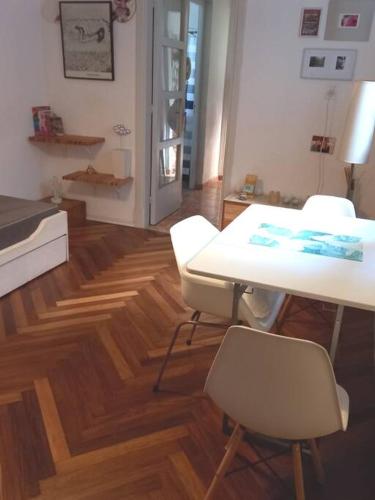 Cálido apartamento a 8 cuadras del mar y a 3 de 18 Julio Estarán acompañados por una gatita que vive alli