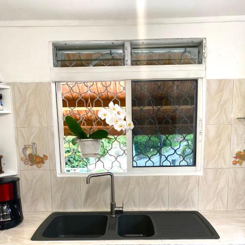 Maison créole authentique